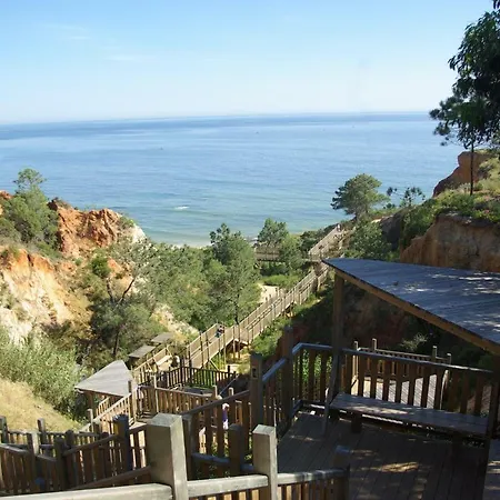 Deluxe E אלבופיירה